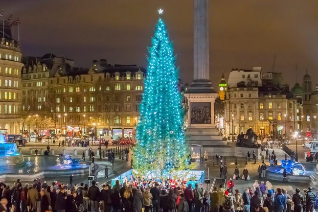 Trafalgar Square christmas tree